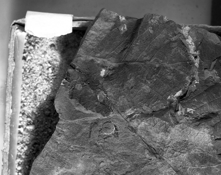 Image of USGS11475_12