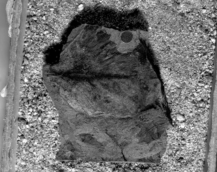 Image of USGS11614.55