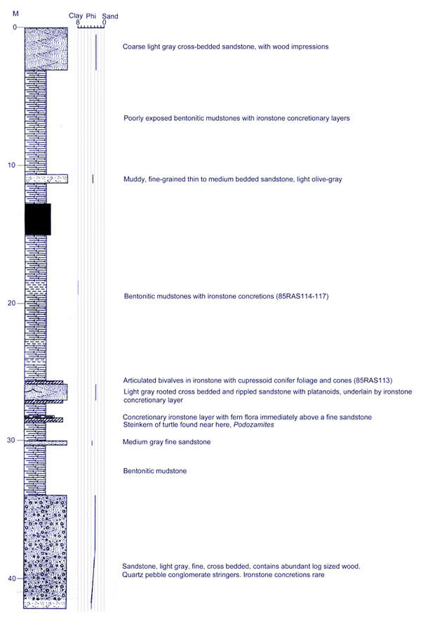 Lithological column drawn by J.T.Parrish
