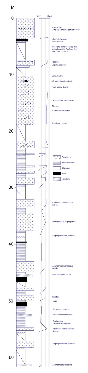 Lithological column for 85JTP17