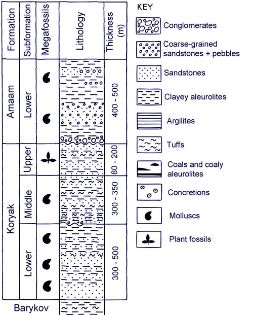 Lithology and Stratigraphy in the Amaam Lagoon area, N. E. Russia