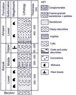 reduced size log of Amaam Lagoon Stratigraphy