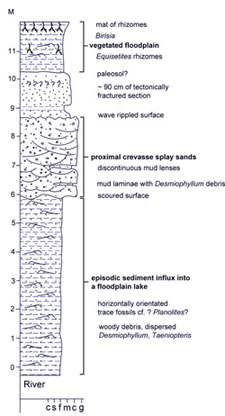 reduced size log of Arman River 97 section 006