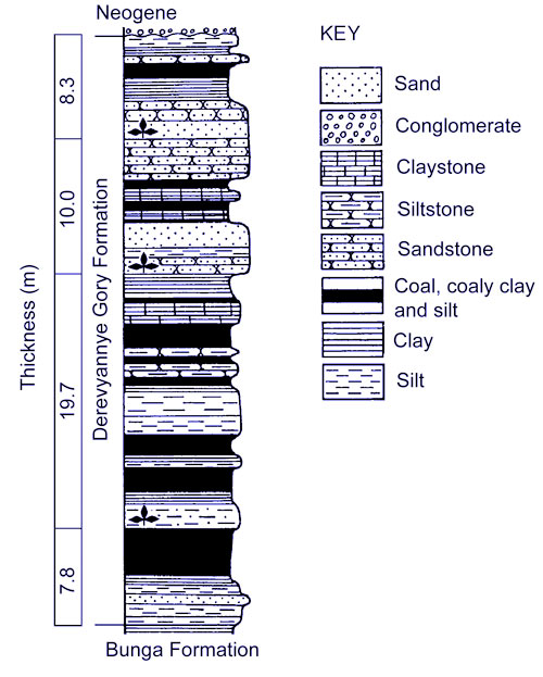 Section of the Turonian sediments exposed at Utyos Derevyannyah Gor, Novaya Sibir Island, Russian Arctic