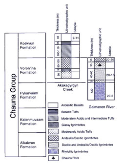 reduced size log of Chauna section