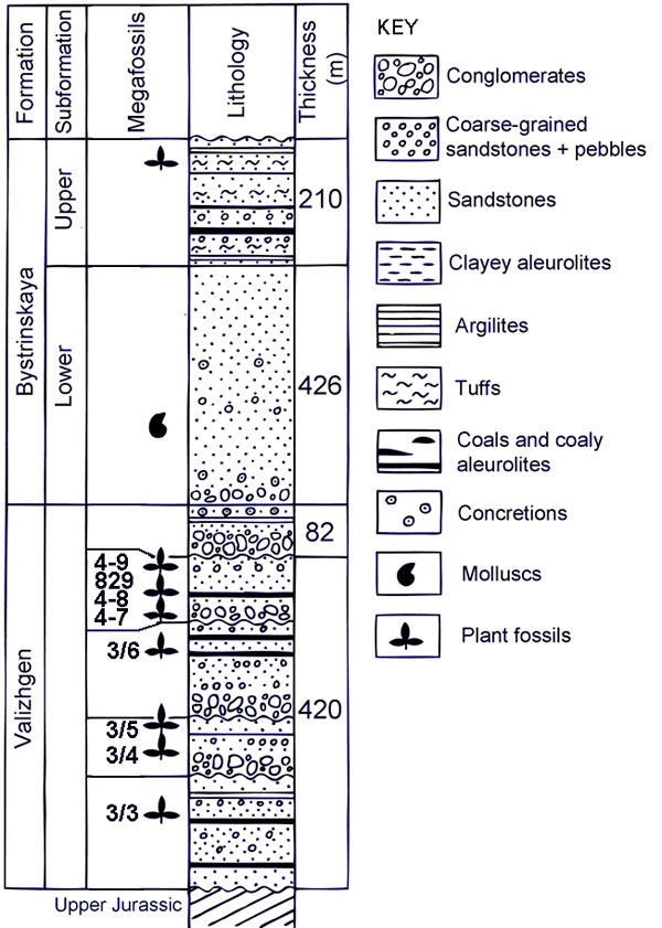 Lithology and Stratigraphy in the Cape Konglomeratoviy area
