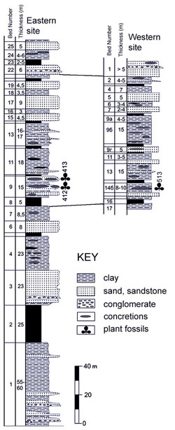 Reduced size graphiv showing the stratigraphy of Kotelnyi Island