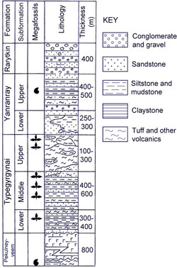 reduced size section of Tylpergernenai Section
