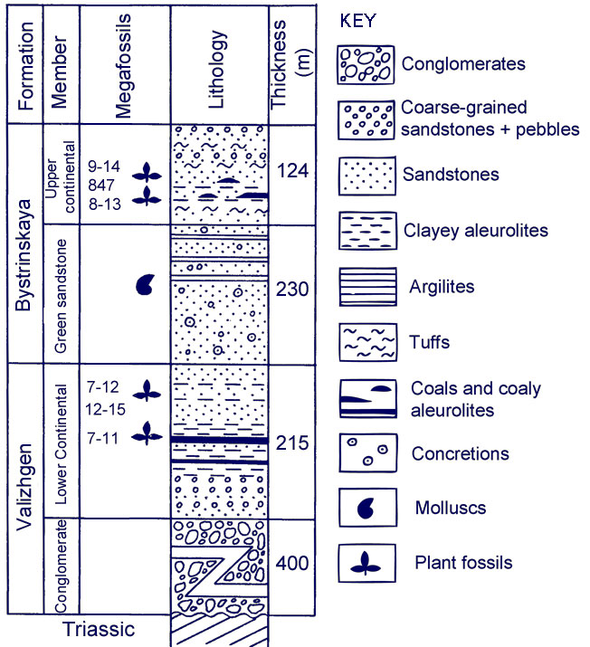 Lithostratigraphic colums of the Valizhgen Cape area, NW Kamtchatka