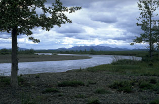 Photograph of the Grebenka River