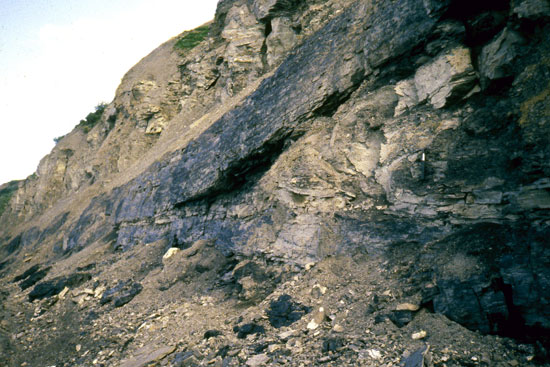 detail of the split in the coal seam at section 85JTP02