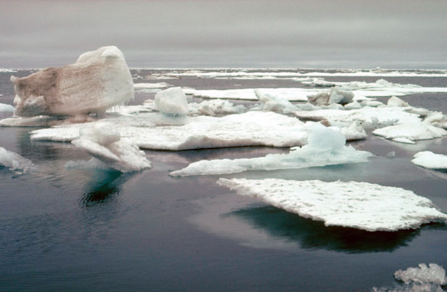 photograph of melting sea ice